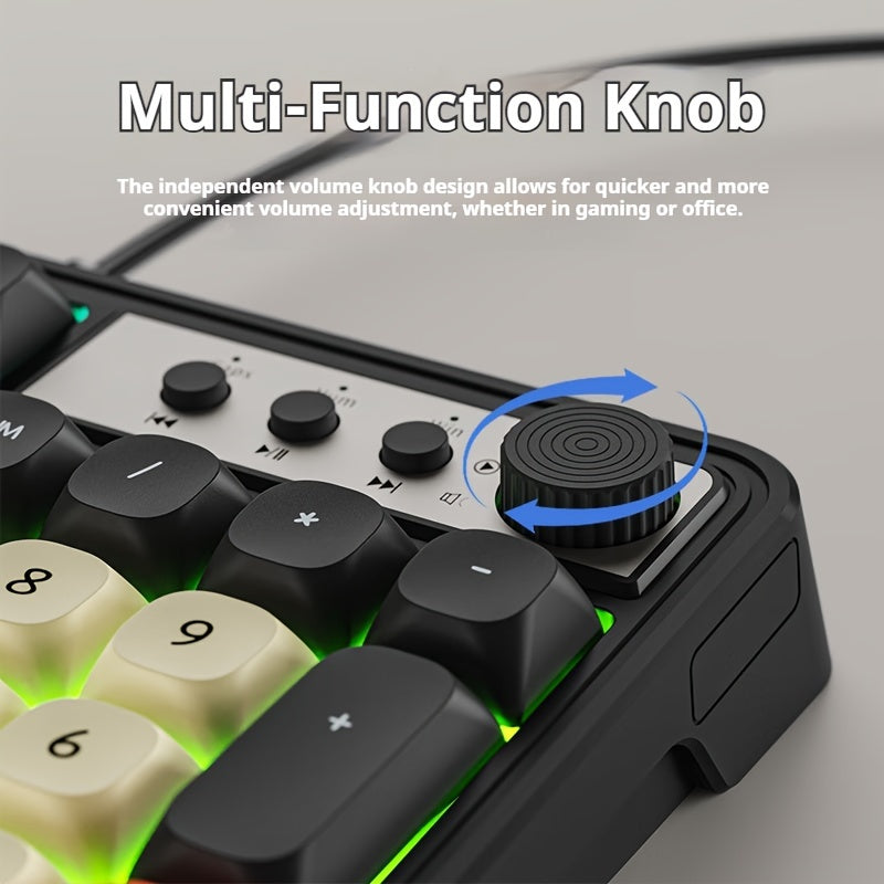 [Wired Gaming Keyboard] EWEADN Wired Gaming Keyboard with Rainbow Backlit, Portable Black Keyboard for Office-98 Keys, Computer External Keyboards Ergonomic Design, with Multimedia Knob, Ball Keycaps, for Gamers and Office, C